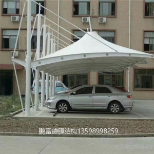 ͣĤṹʩ